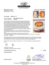 Estate 10K W Gold Shell & Diamond Cameo Pin/Pendant