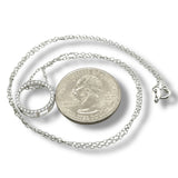 SS 0.25ct F-G/VS2 Lab Created Diamond Circle Pendant