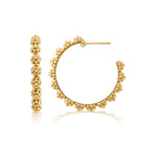 Brass YGP Berry Icon Medium Hoop Earrings