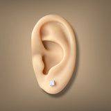 14K W Gold 0.50ctw F/VS1 Lab-Created Princess Cut Diamond Earrings