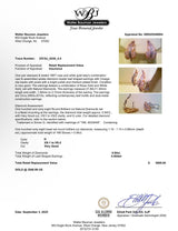 Estate 18K TT Gold 0.84ctw Diamond Leaf Earrings