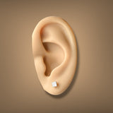 14K Y Gold 0.50ctw F/VS1 Lab-Created Princess Cut Diamond Earrings