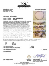 Estate 18K W Gold 3.51ctw G-H/SI1-2 Diamond Fringe Chocker Necklace