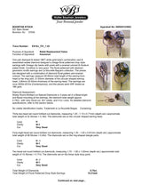 Estate La Nouvelle Bague 18K W Gold 0.75ctw Diamond Earrings