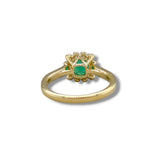 14K Y Gold 0.81ctw Emerald 0.17ctw Diamond H/SI1 Halo Ring