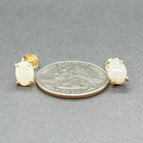 Estate 14K Y Gold 1.13ctw White Opal Stud Earrings - Walter Bauman Jewelers