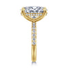 14K Y Gold 0.44ctw G-H/SI2 Hidden Halo Oval Diamond Mounting