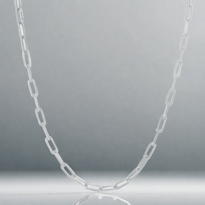 SS 10" Paperclip Link Ankle Bracelet - Walter Bauman Jewelers
