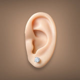 14K W Gold 1.14cttw E/VVS2 Lab-Created Diamond Stud Earrings IGI #577370696 & #583325050 - Walter Bauman Jewelers