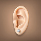 14K W Gold 1.16cttw D/VS1 Lab-Created Diamond Stud Earrings IGI#576338755 & 577303383 - Walter Bauman Jewelers