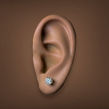 14K Y Gold 1.18cttw D/VS1 Lab-Created Diamond Stud Earrings IGI #577364034 & #574364857 - Walter Bauman Jewelers