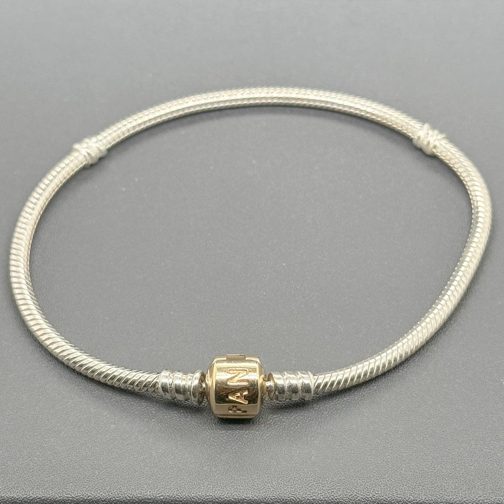 Pandora moments store two tone bracelet