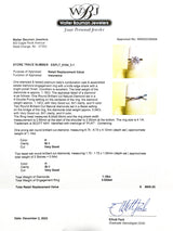 Estate Scott Kay Platinum 1.18cttw H/SI1 Diamond Engagement Ring - Walter Bauman Jewelers